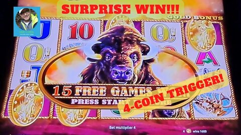 Yessss, I Needed That! Buffalo Gold Collection 4-Coin Bonus Trigger with Loud & Local