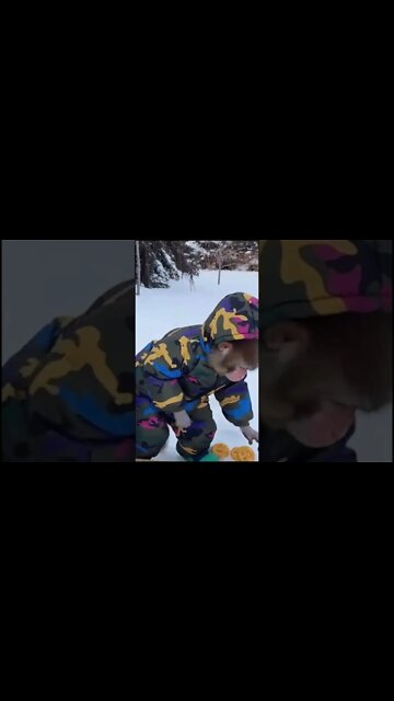 Most Amazing and trending video||relaxing your mind||trendig videos|| #shorts #trending #viral #live