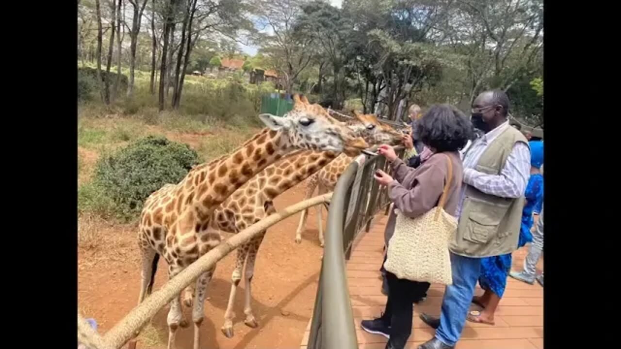 2 ### Ten Cool Places To Visit With Family In Nairobi In 2022 Things To Do In Nairobi, Kenya
