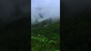 Heart Touching Shayari 💔 Collection -- Sad 😭2022 video..