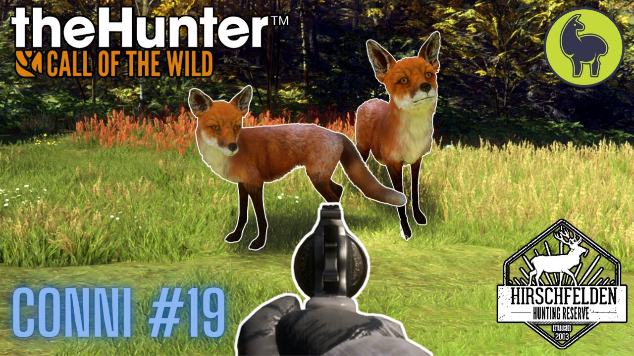 Conni #19 Hirschfelden | theHunter: Call of the Wild (PS5 4K)