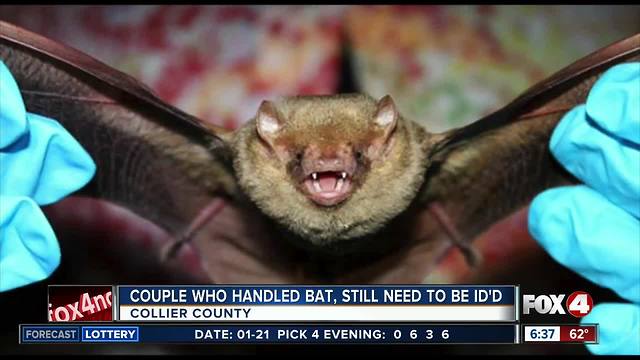 Collier County health officials still looking for couple who handled bats