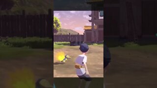 Cyndaquil Used Quick Attack! Pokémon Legends: Arceus