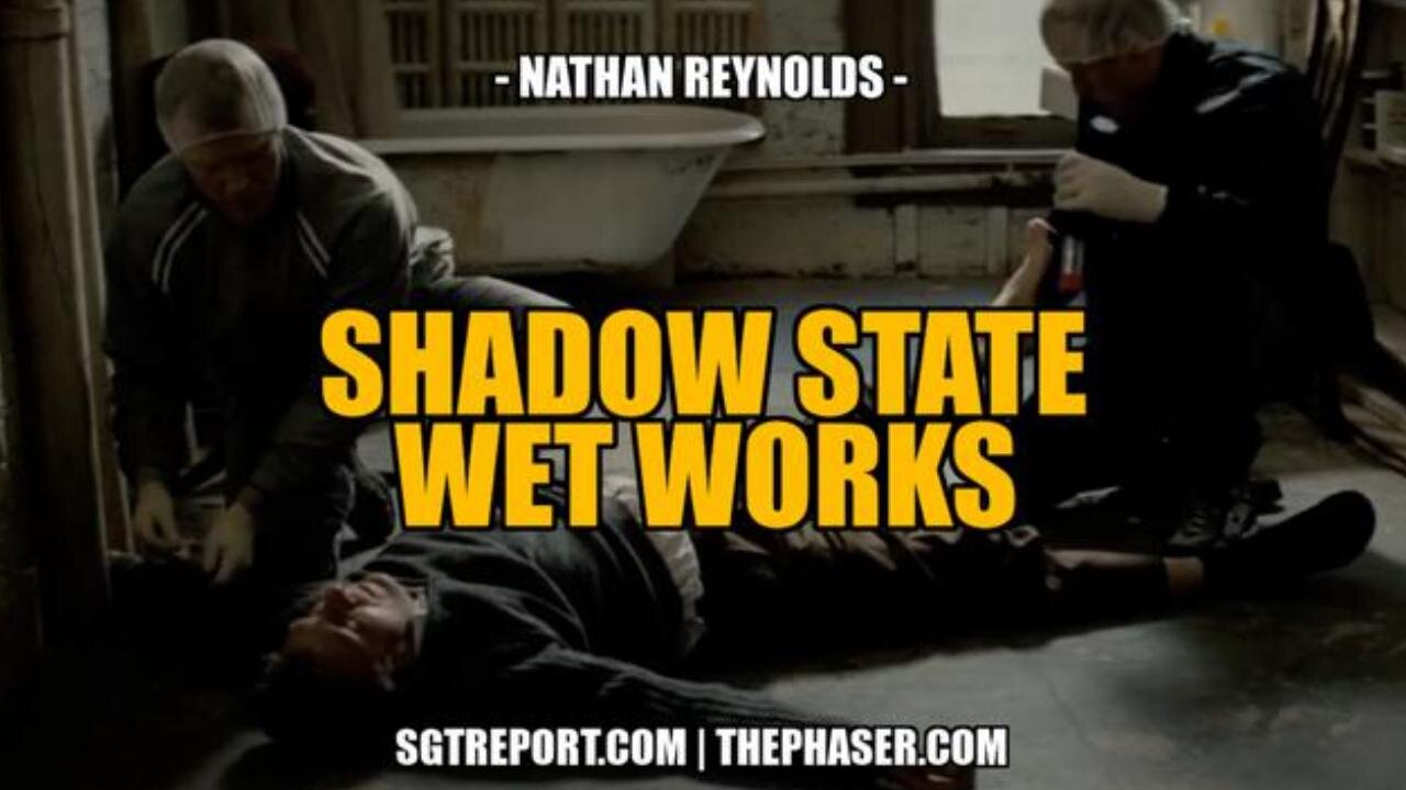 🚨 SHADOW STATE & CORPORATE WET WORKS‼️ - Nathan Reynolds w/ SGTReport