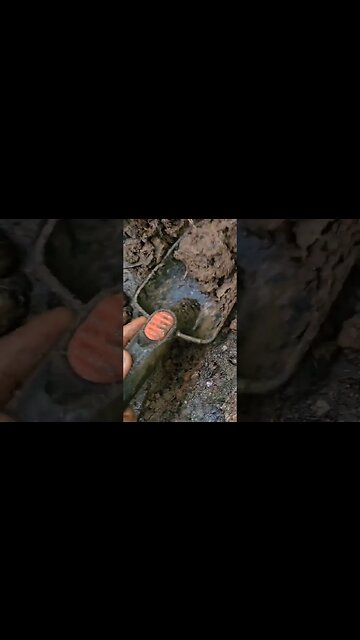 Crevicing under boulders for chunky Georgia GOLD