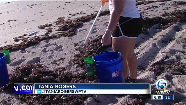 Volunteers participate in beach cleanup on Palm Beach