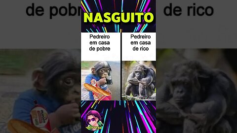 ELA NUNCA VAI SENTIR ESSA DOR