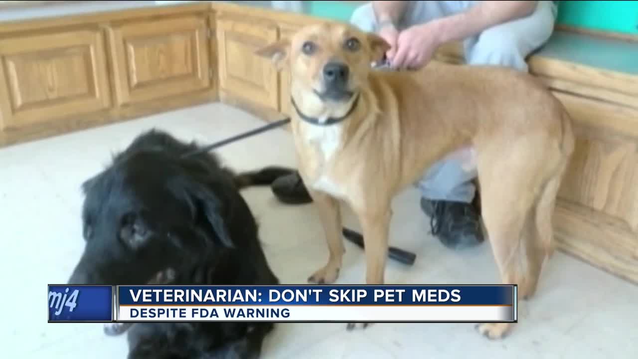 Veterinarian reminds you of the importance of flea & tick medication