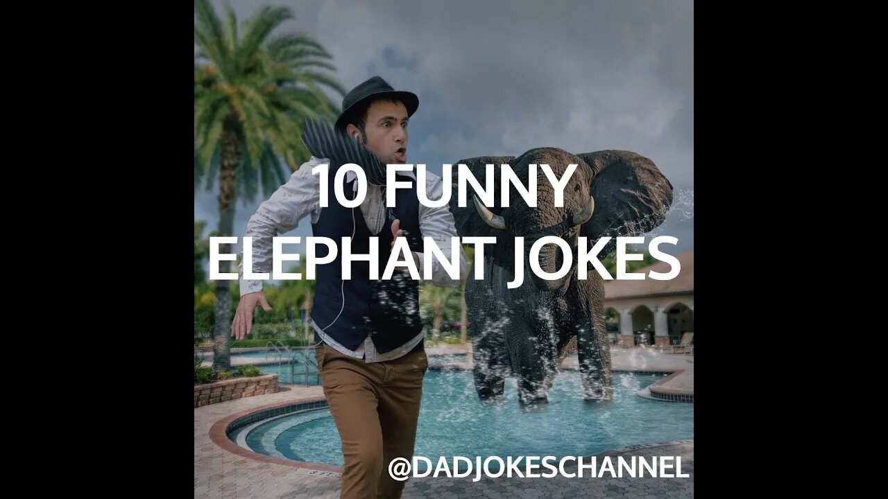 10 FUNNY ELEPHANT JOKES