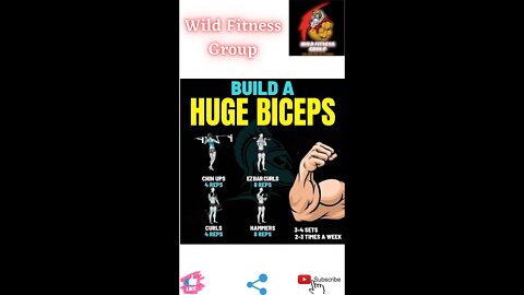 🔥Build a huge biceps🔥#fitness🔥#wildfitnessgroup🔥#shorts🔥