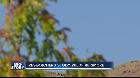 Researches study wildfire smoke