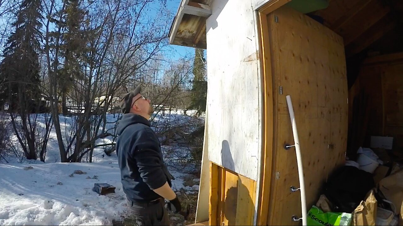 BEAR damaged shed repaired & ELECTRIFIED!