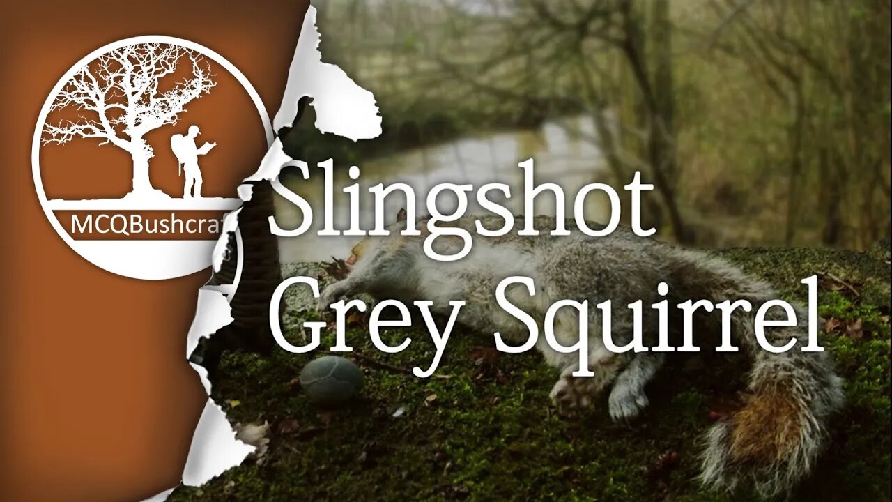 Bushcraft Slingshot Hunting Grey Squirrel