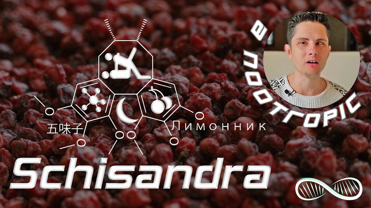 Schisandra Chinensis 🉐 Traditional Chinese Medicine's Nootropic for Hacking Yin and Yang