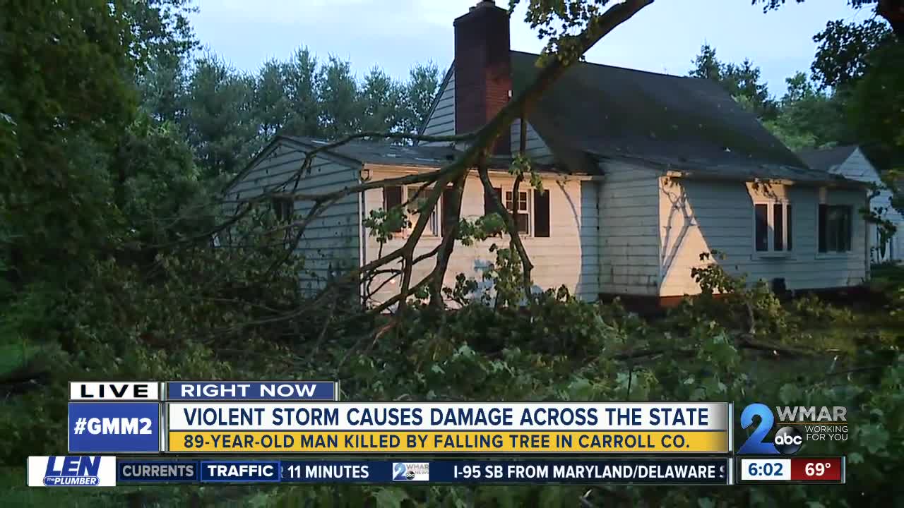 Man found dead under fallen tree as violent storm shakes Carroll County