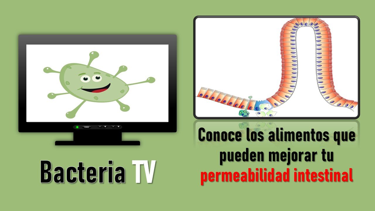 BACTERIA TV: CONOCE LOS ALIMENTOS QUE PUEDEN MEJORAR TU PERMEABILIDAD INTESTINAL