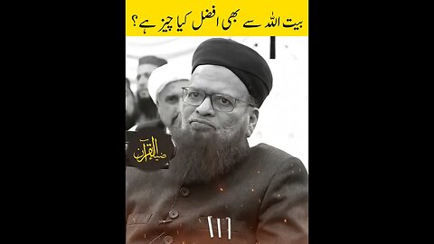 The Wisdom of Mufti Muhammad Taqi Usmani: Short Bayan