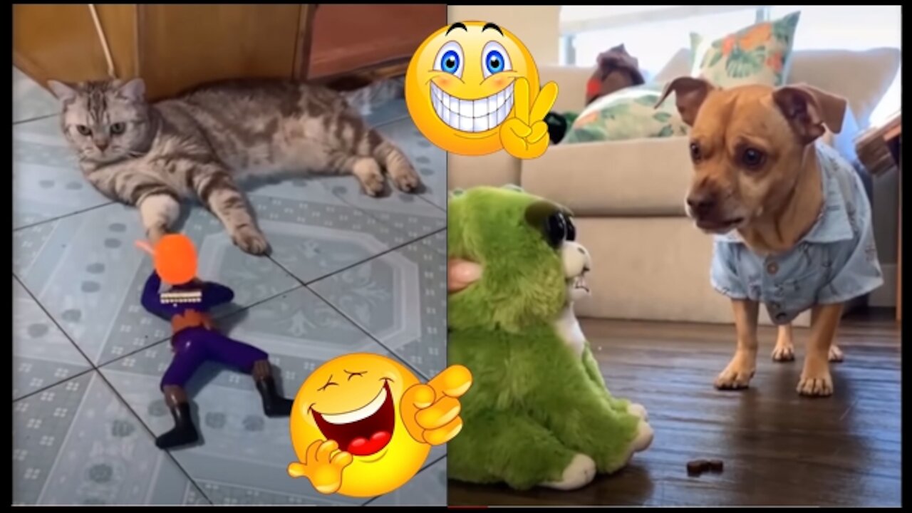 Cute and funny pets Try not to laugh at compiling these clips 2021