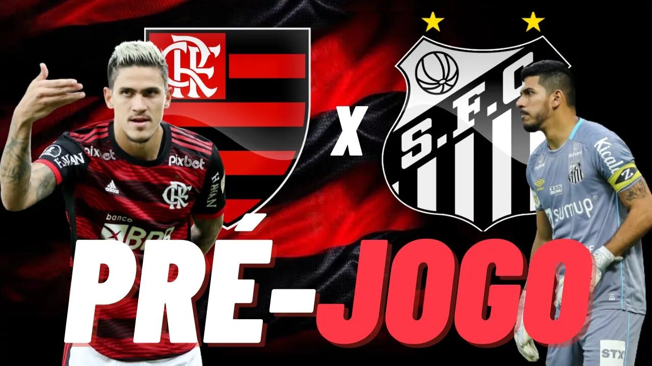 PRÉ-JOGO: FLAMENGO X SANTOS | CAMPEONATO BRASILEIRO 2022 (AO VIVO)