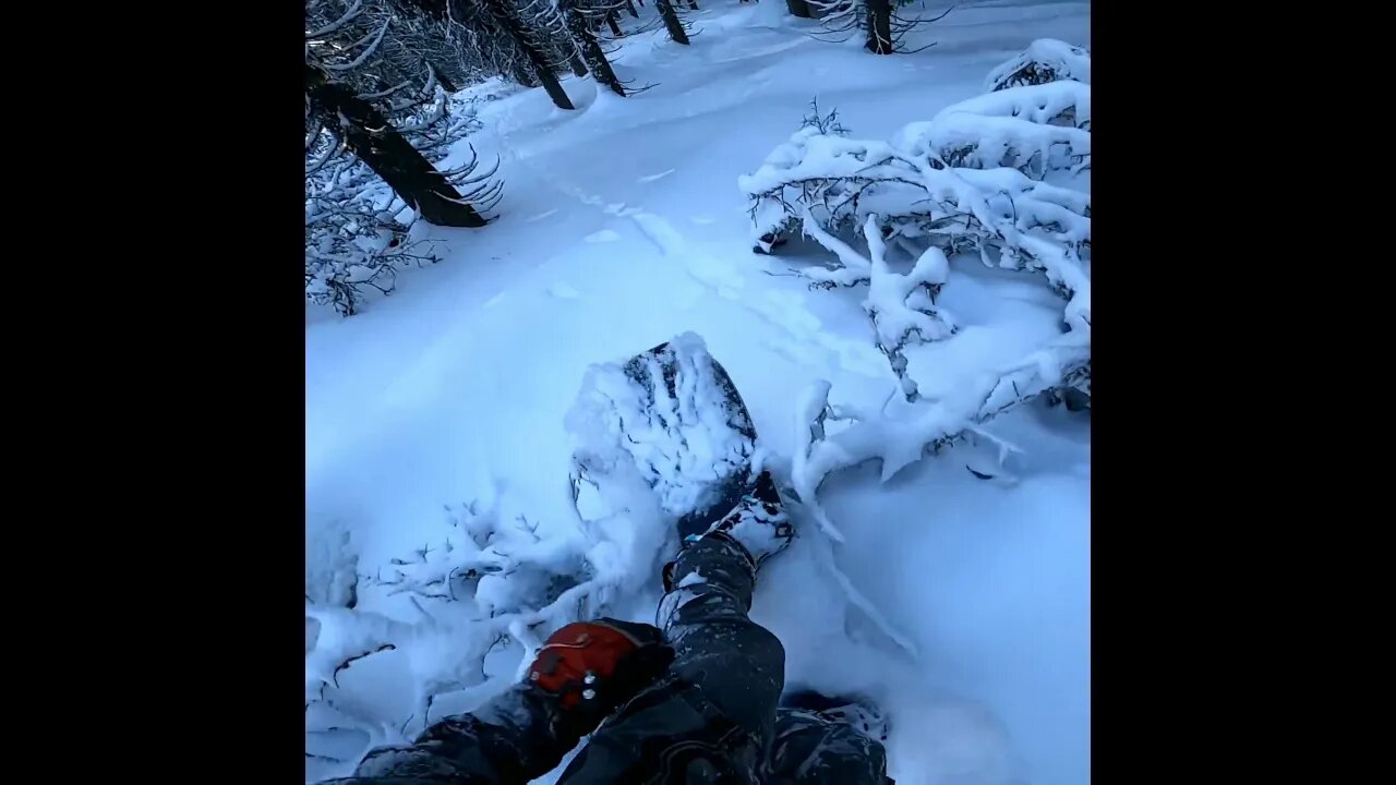 It got a little tight, Subscribe for more #short #snowboard #snowboarding #snow #travel #mountain