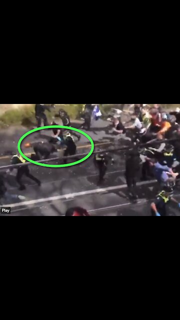 "BRAVEHEART": If all Aussies would handle against the police like this man