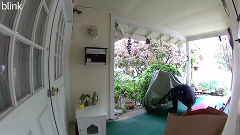 NORTH_VIDEO_DOOR_BELL_2023-04-30T15_01_26-0400.mp4