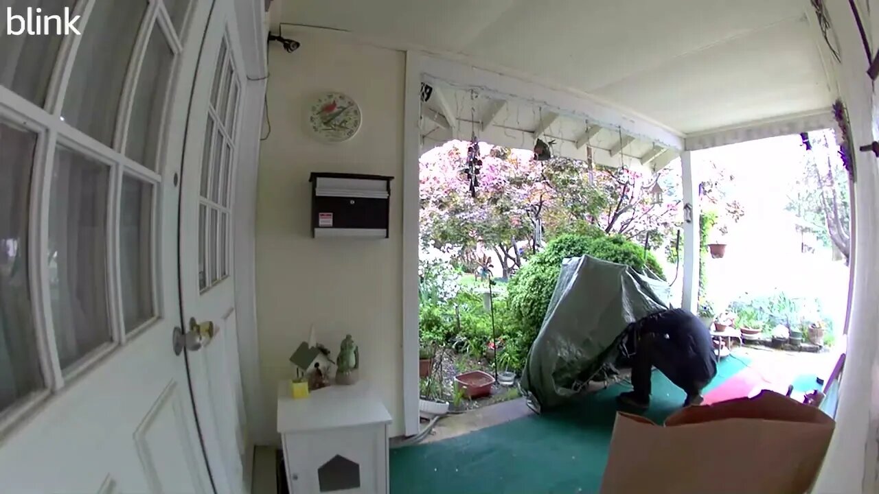 NORTH_VIDEO_DOOR_BELL_2023-04-30T15_01_26-0400.mp4