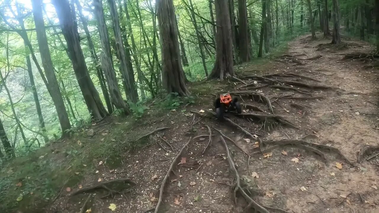 Rock Bouncer Trail Run at White Pines State Park