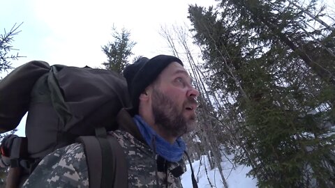 21 Days in the wild forest. #7 The Building Of A Log Cabin . I'm cooking a signature dish.