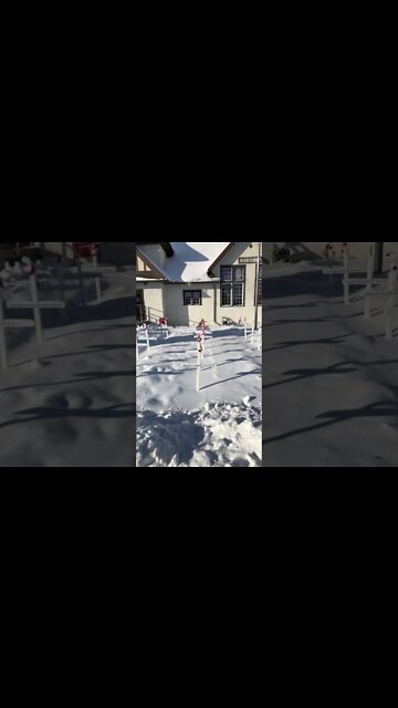 Remembrance Day Display - Never Forget