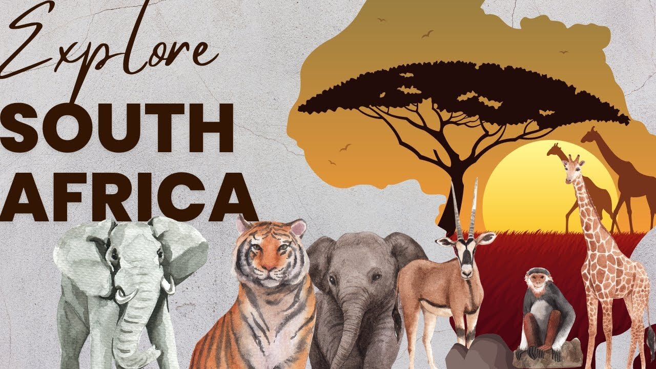Animal Of Africa | Relaxing Nature Video With Africa Wildlife - Nature Relaxation