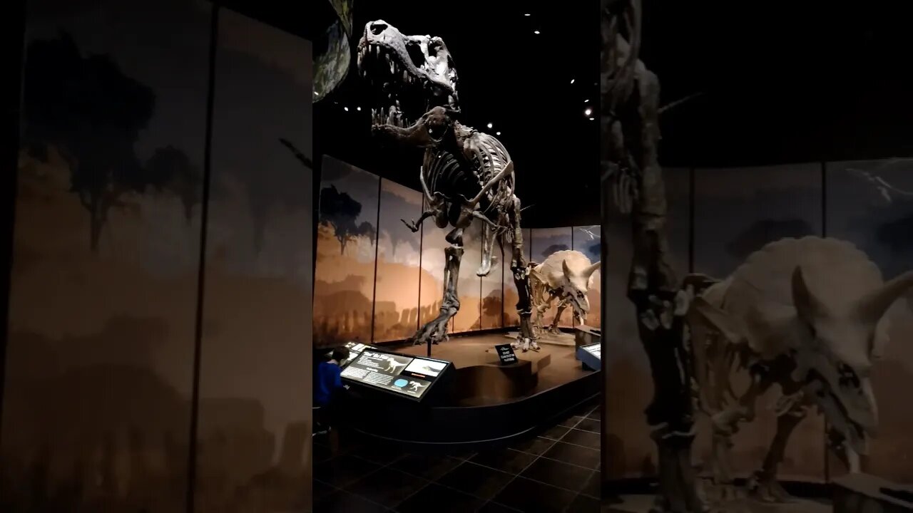 Homeschool Science Museum Field Trip! 🔭👩🔬 #homeschoolmom #homeschoolfamily