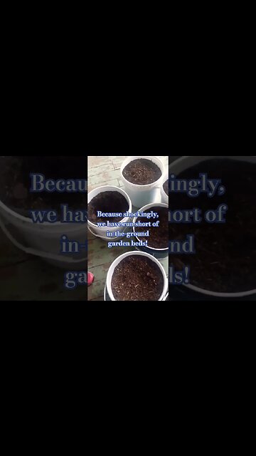 Adopting all the lost plants. Pixilated guide to gardening! #gardening #pixiespotager #gardeningtips