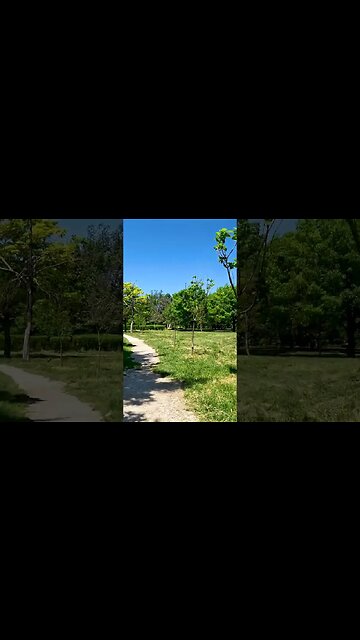 Discover the secret oasis tucked away in IZVOR Park #shorts