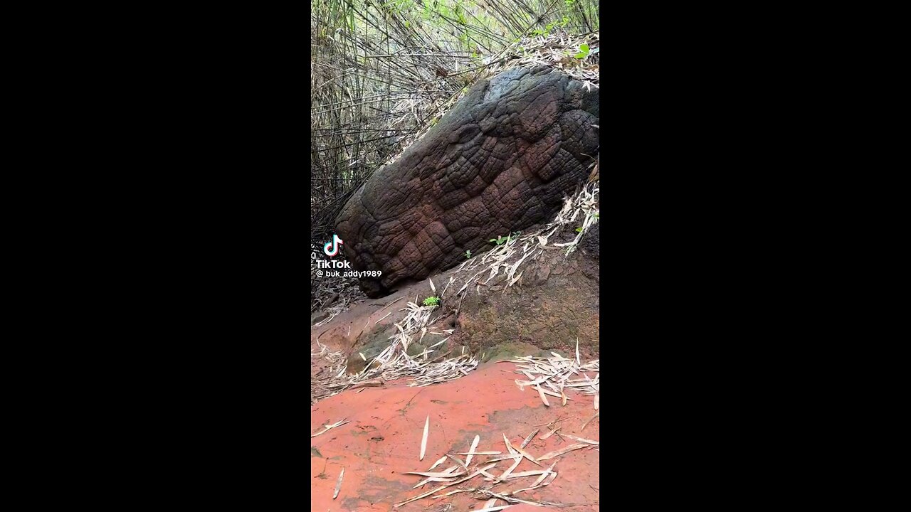 Titans Had Creatures As Big As Them