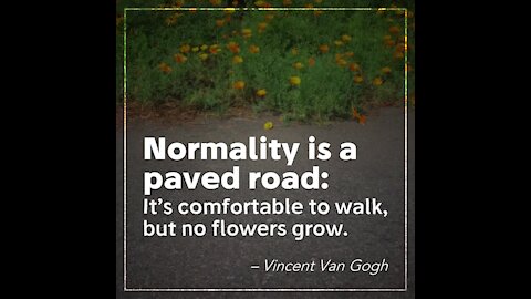 Normality [GMG Originals]