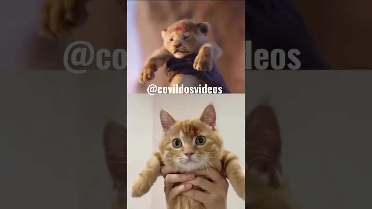 ESSE VIDEO SÓ TEM UM DEFEITO