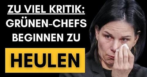 GRÜNE Ausrede: Schuld sind wie immer alle anderen!