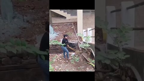 Ai sim tem coragem Mata o pau e mostra a cobra