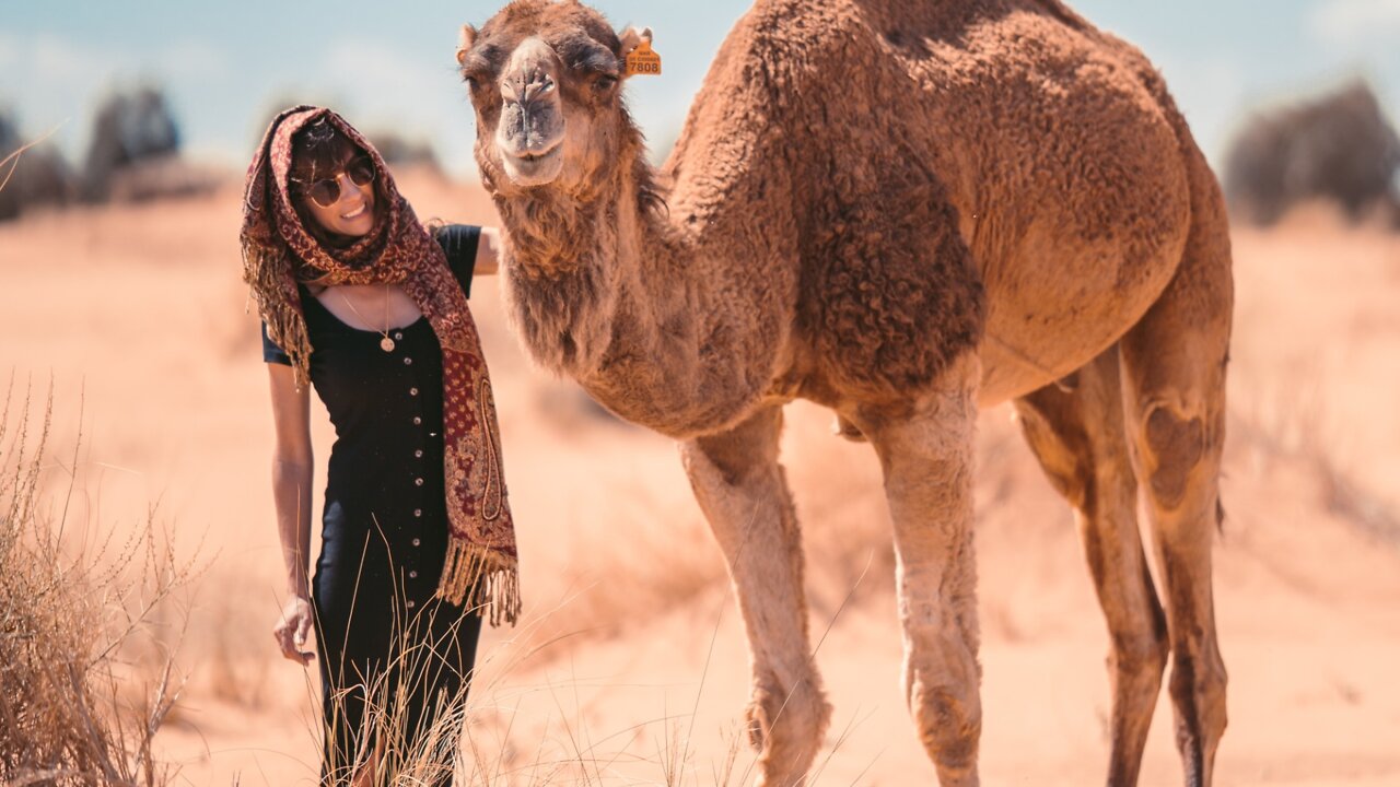 They took one of the camels away from his brothers to slaughter him