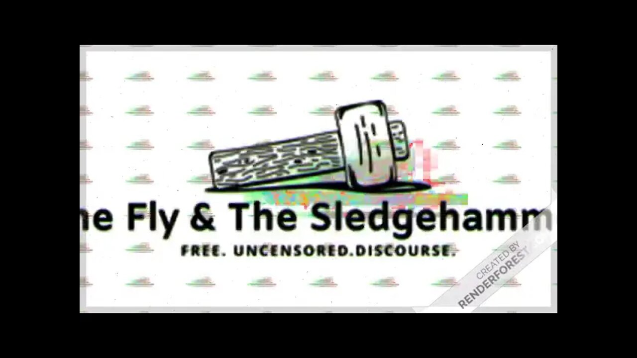 The Fly & The Sledgehammer Show