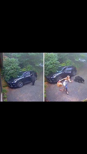 Woman runs in terror after discovering bear in her vehicle