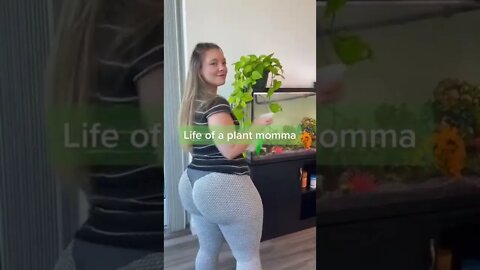 Yes we would smash and marry part 2