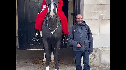 Drama, Don’t hold the reins! No messing around with Royal King’s guard !