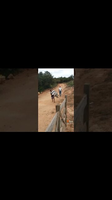 ae que burro da zero pra ele #shorts