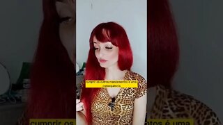 Mateus 22:37-38 📖 Devocional do dia pra você