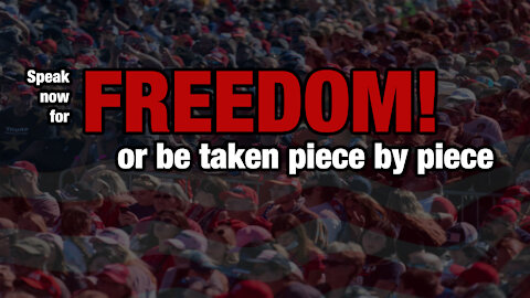 Speak Up for Freedom, or be taken piece by piece
