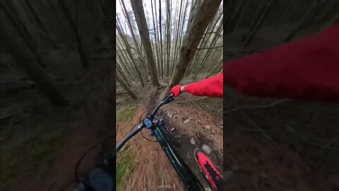 Sunset trail laps are golden🙏🤘