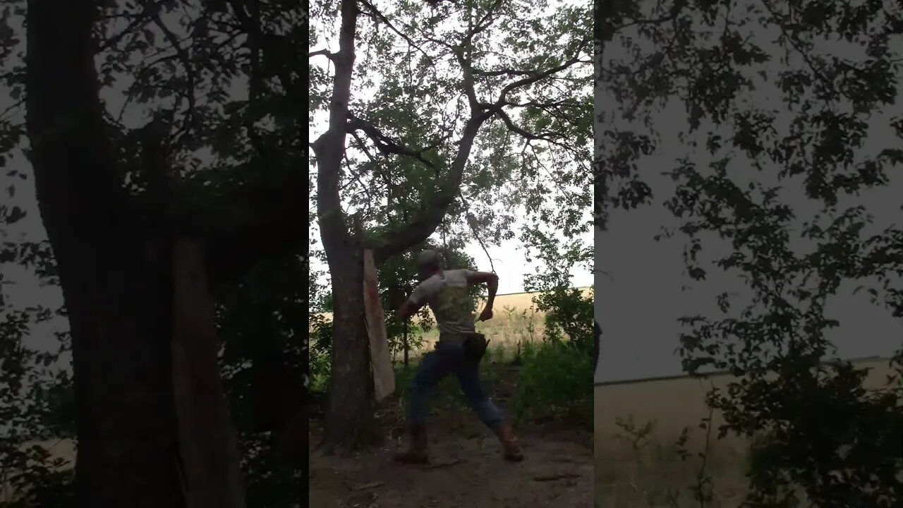 Escape an ambush #shorts #knifeskills #protector #farmboy