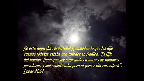 Versículo bíblico diario para hoy